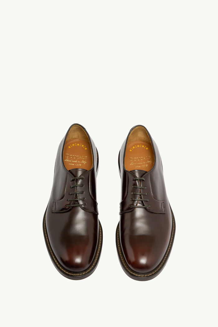  Doucal's Derby Horse Marrone - 3