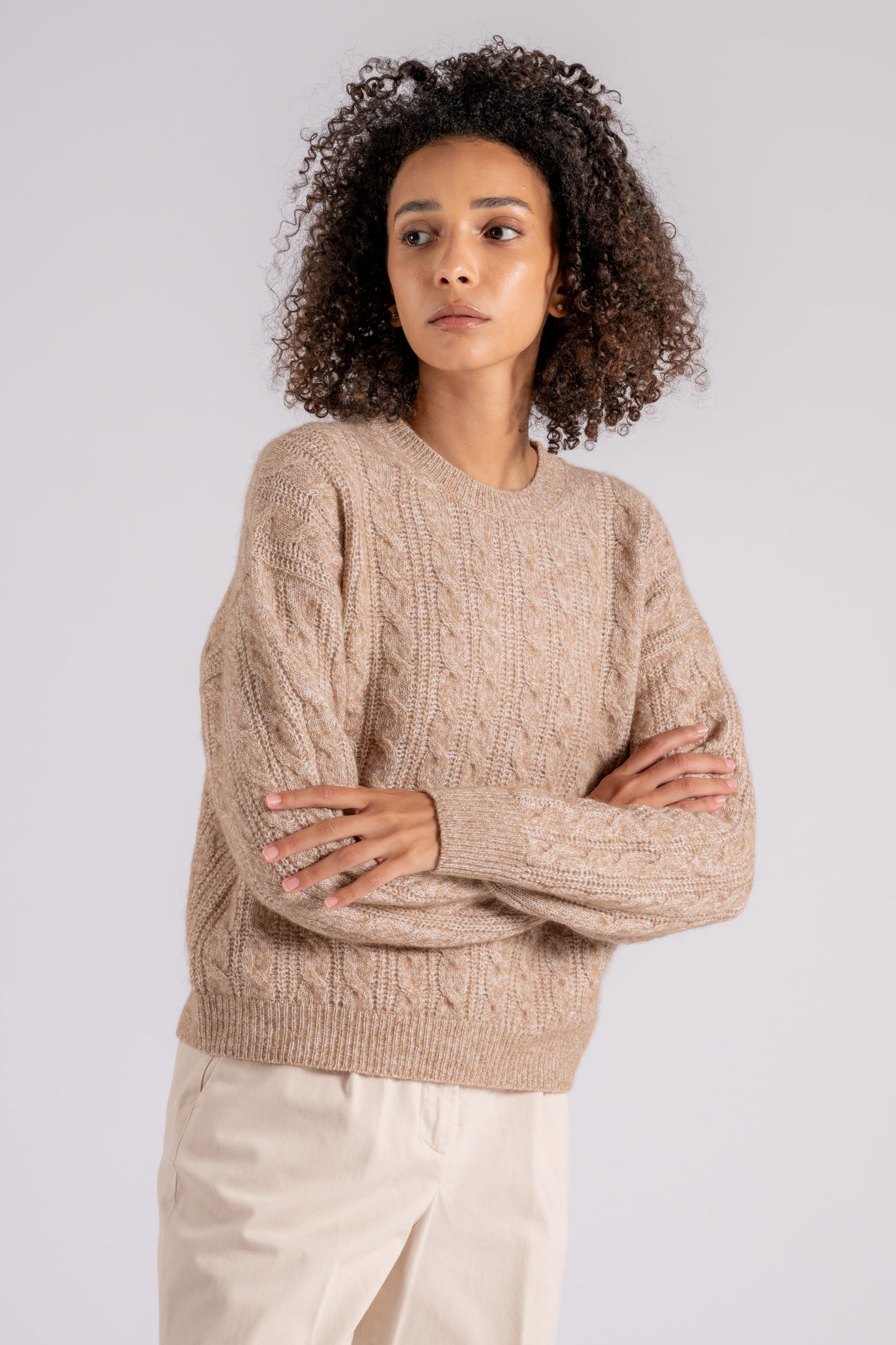  Peserico Maglia In Tricot Lana/alpaca/seta/cachemire Beige Beige Donna - 5