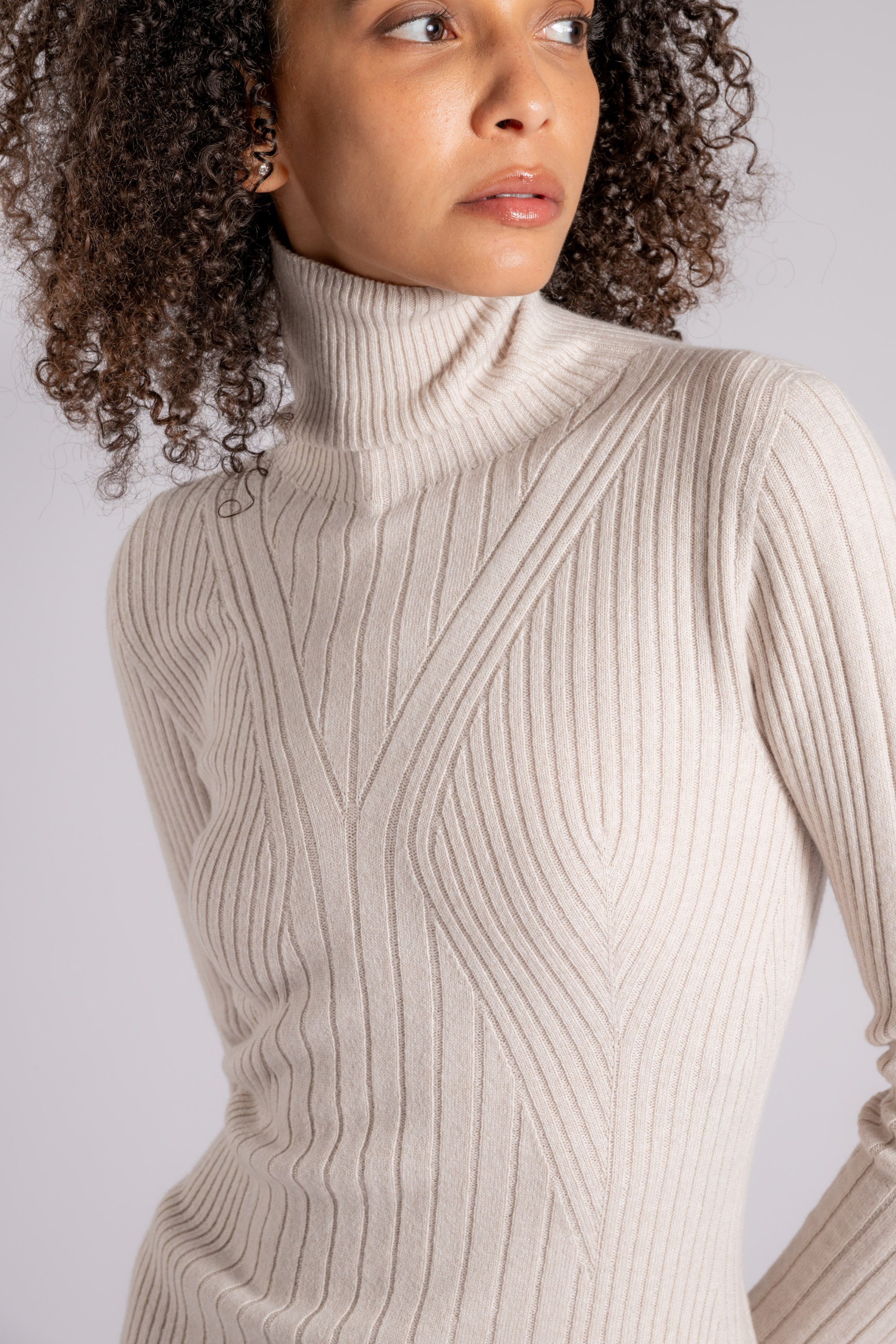 Cashmere ribbed turtleneck best sale