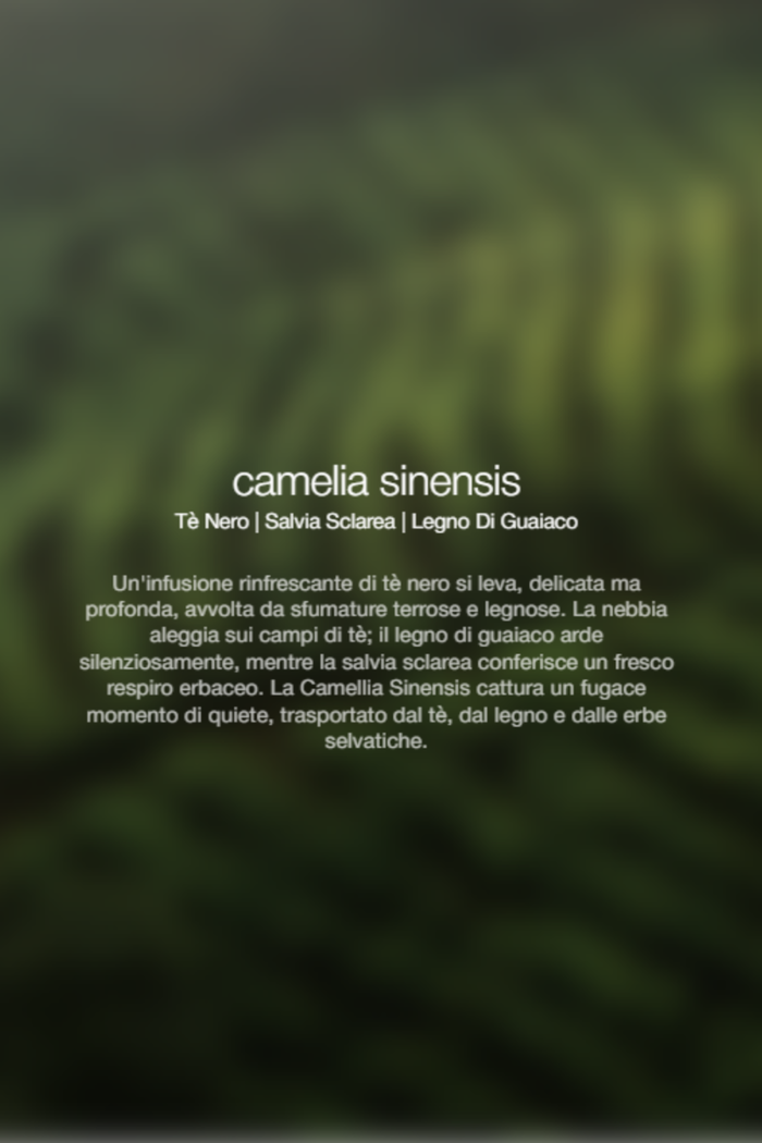 Zenology Spray Ambienti Camellia Sinensis 1lt Unisex-2