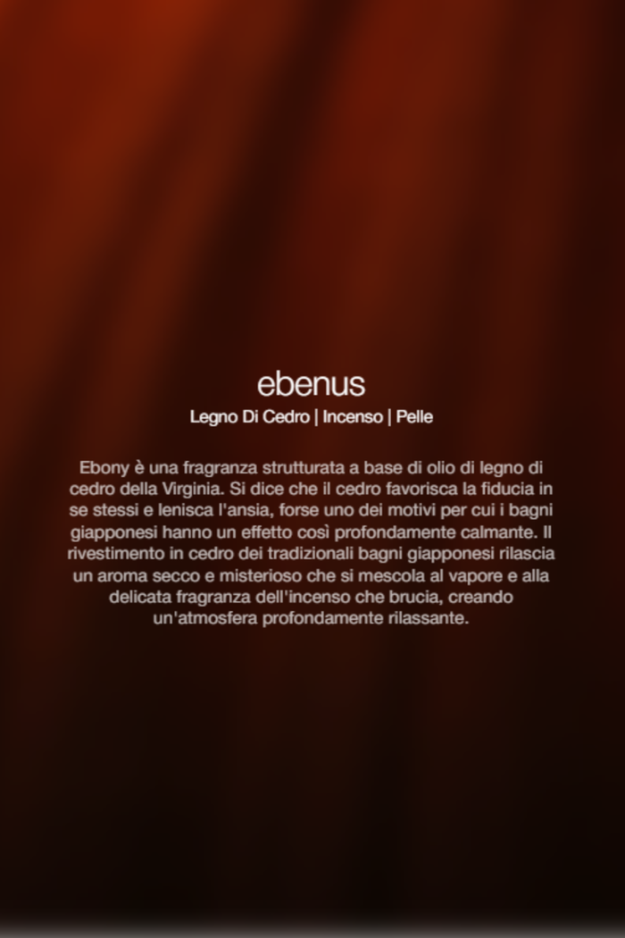 Zenology Spray Ambienti Ebenus 300ml Unisex-2