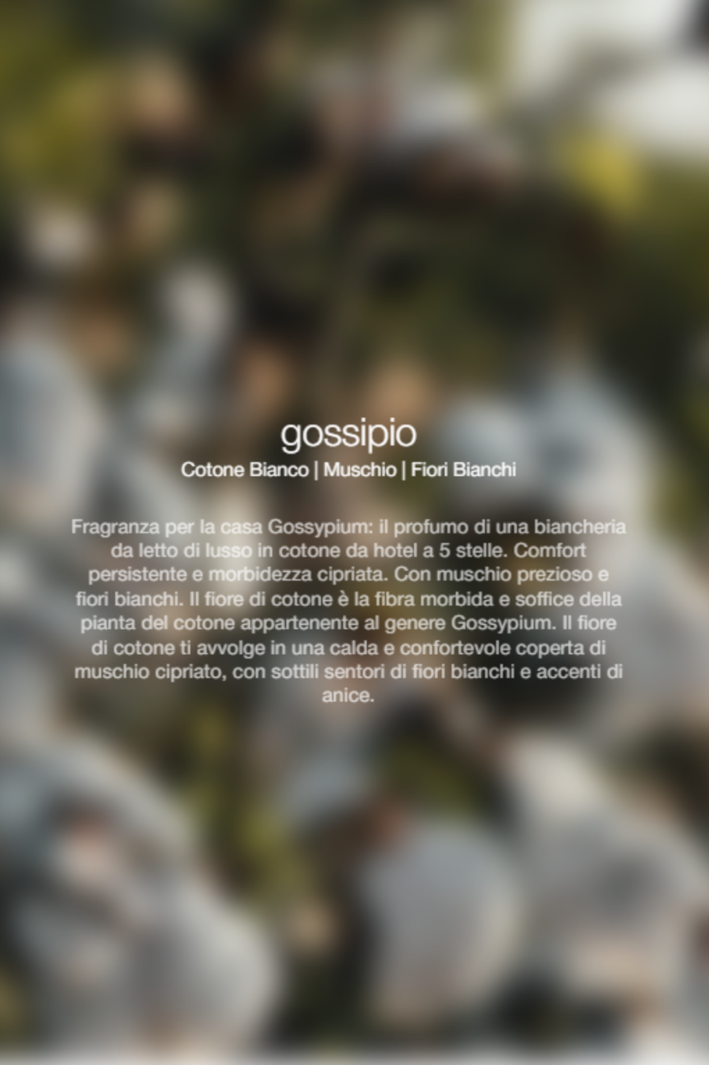  Zenology Spray Ambienti Gossypium 300ml Unisex - 2