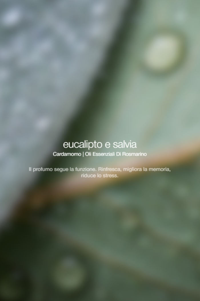 Zenology Exfolianting Wash Eucalyptus Sage Unisex-2