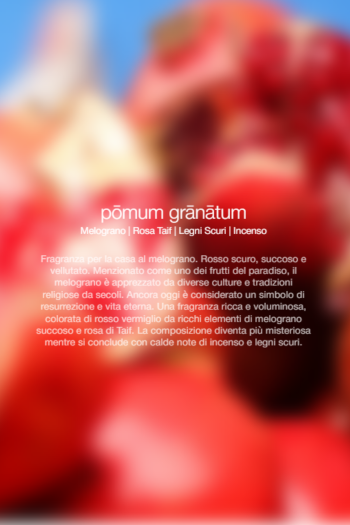 Zenology Spray Ambienti Pomum Granatum 300ml Unisex-2