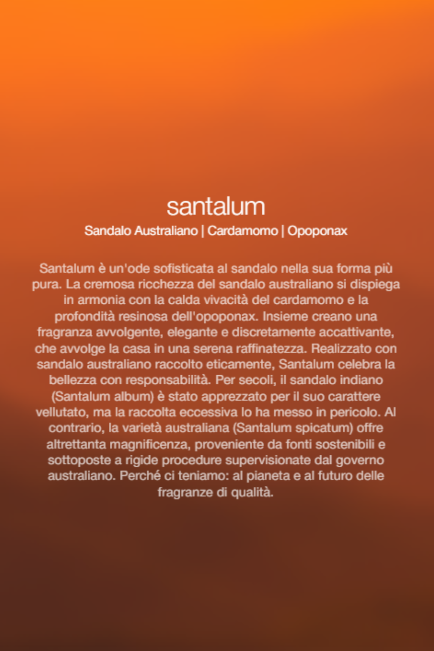  Zenology Spray Ambienti Santalum 1lt Unisex - 2