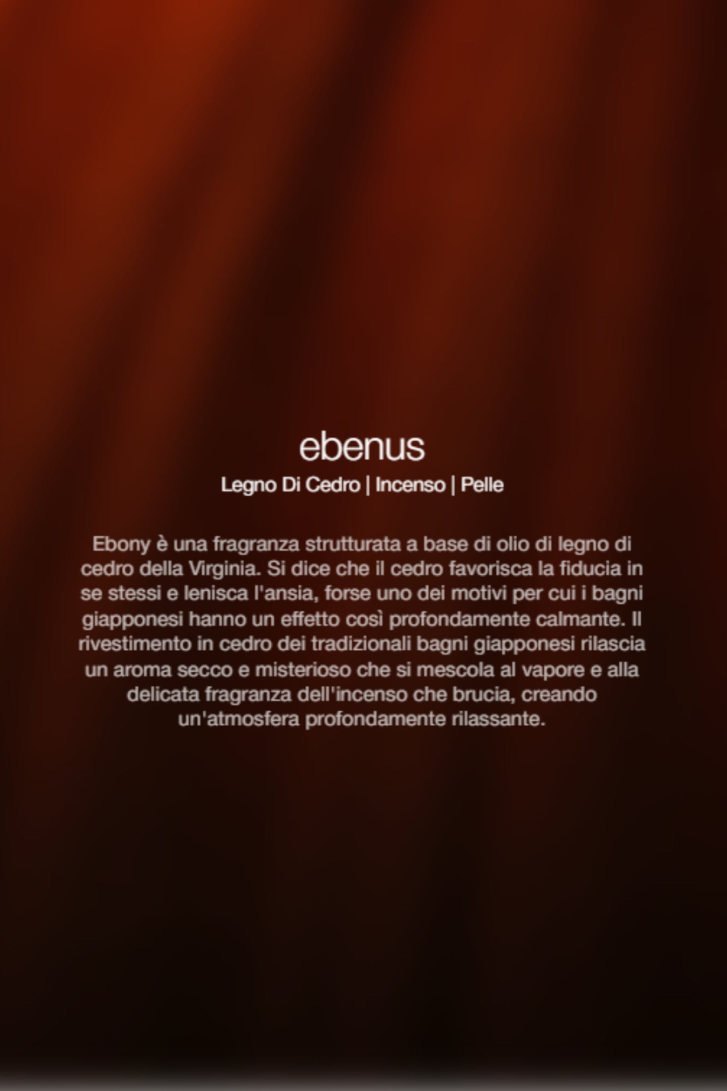  Zenology Spray Ambienti Ebenus 1lt Unisex - 2