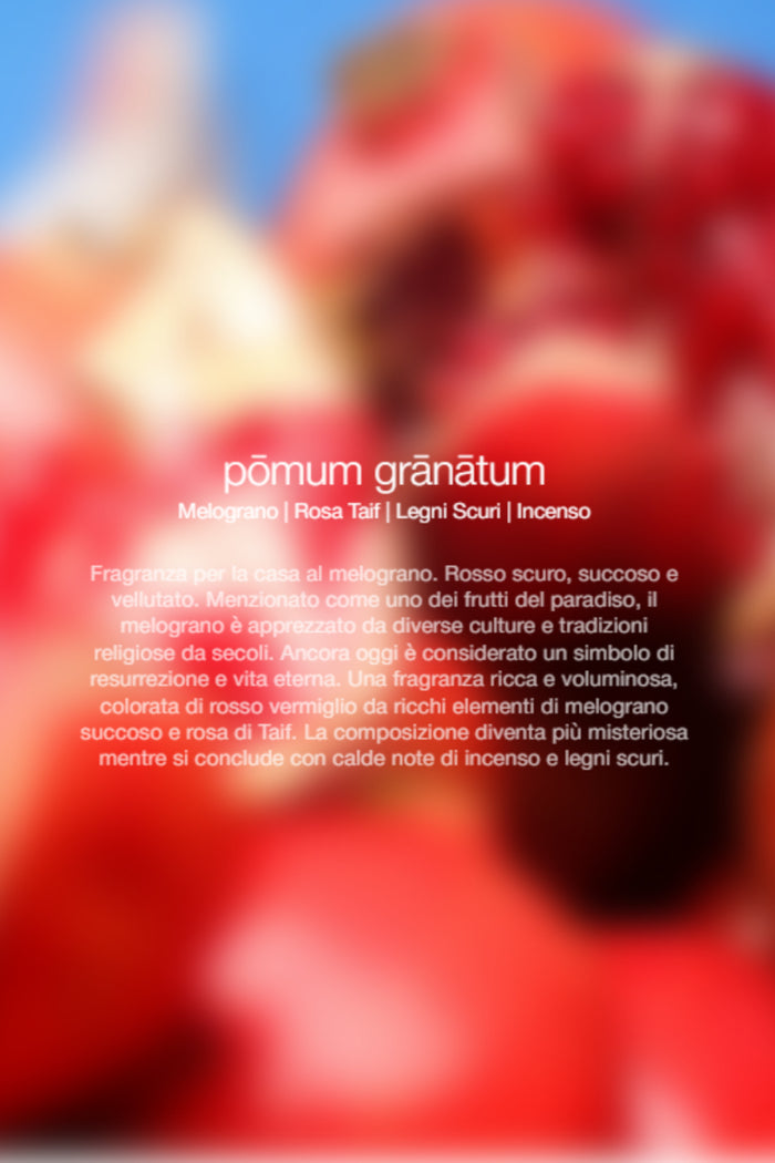 Spray Ambienti Pomum Granatum 300Ml Unisex Zenology-2