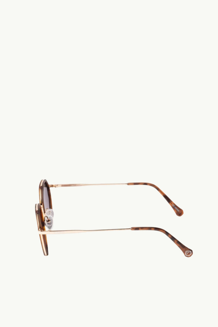  Coccosquare Occhiali Da Sole Lenti Polarizzate Unisex Marrone - 3