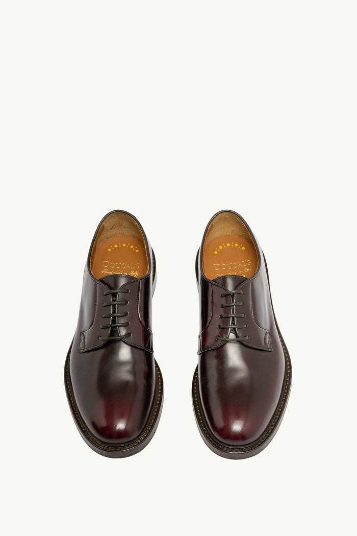  Doucal's Derby Horse Marrone - 3