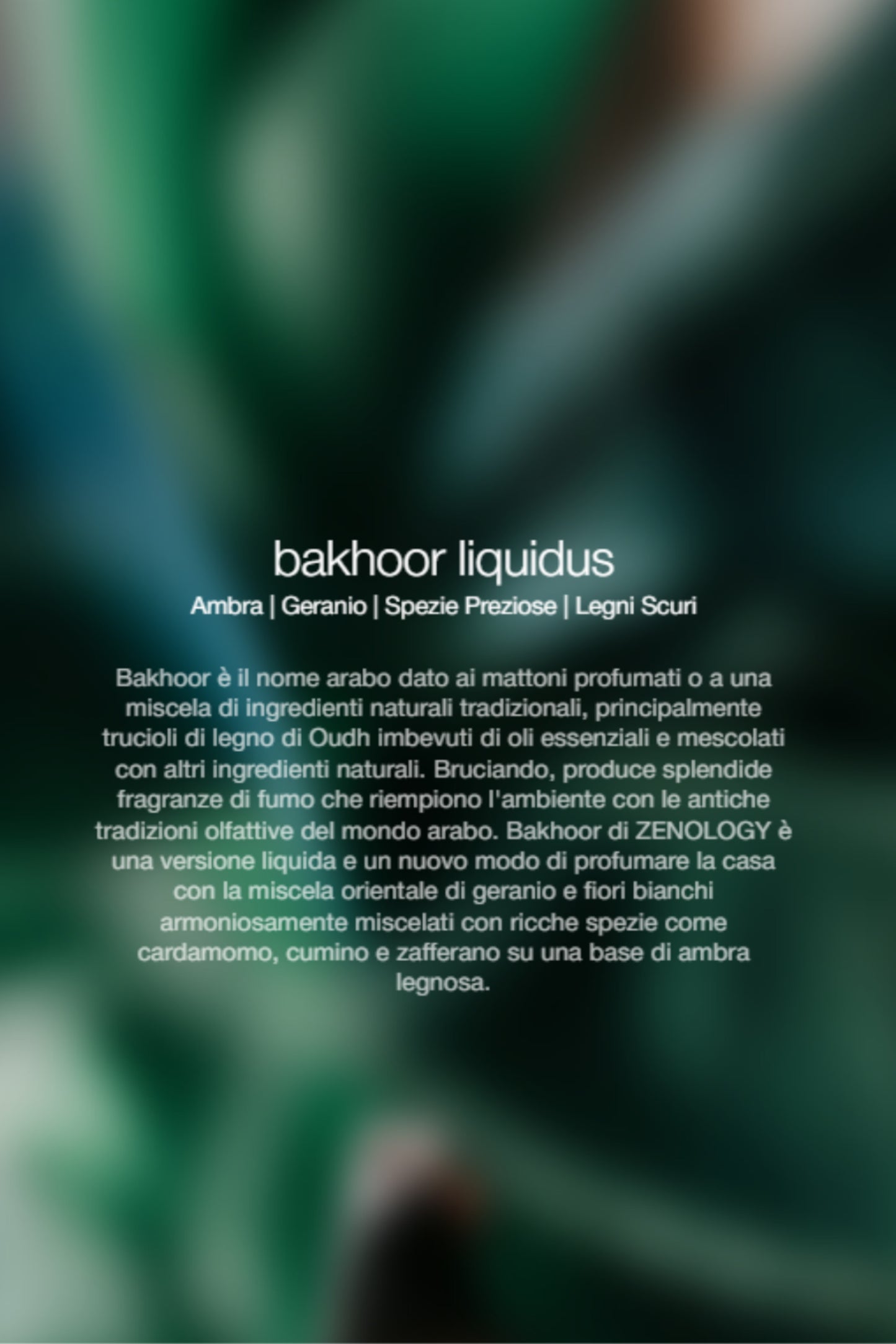  Zenology Spray Ambienti Bakhoor Liquidus 1lt Unisex - 2