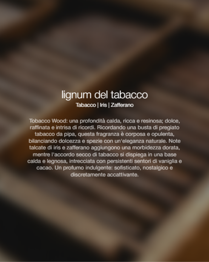 Zenology Spray Ambienti Tobacco Lignum 1lt Unisex-2