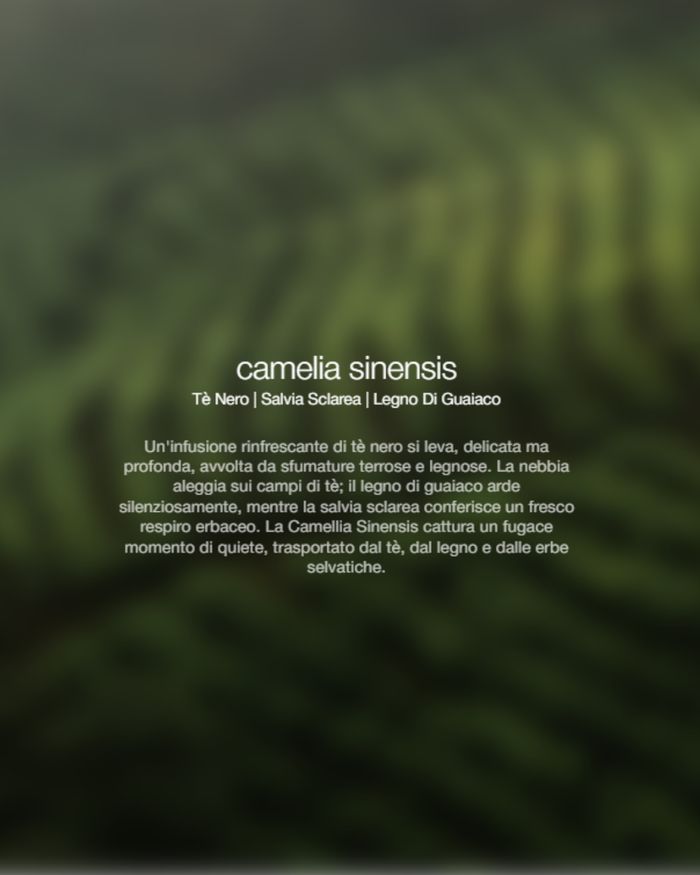 Zenology Spray Ambienti Camellia Sinensis 1lt Unisex-2