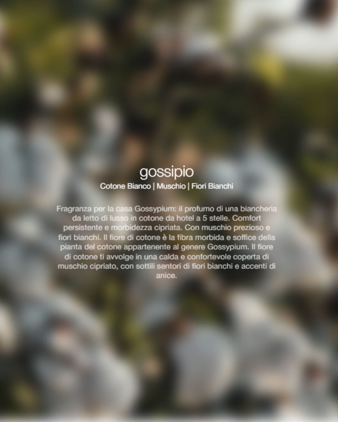  Zenology Spray Ambienti Gossypium 300ml Unisex - 2