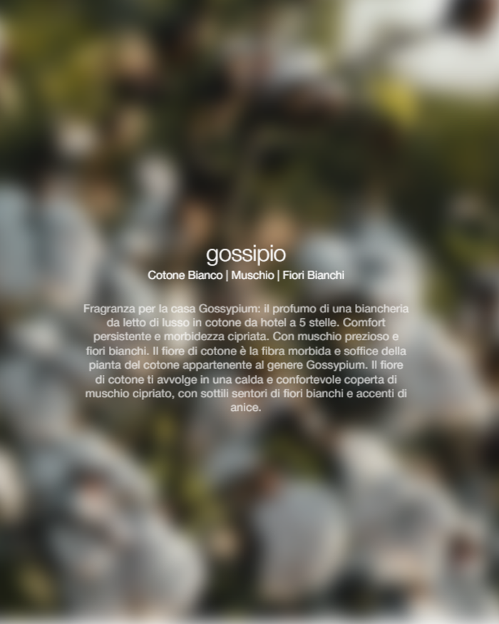 Zenology Spray Ambienti Gossypium 300ml Unisex-2