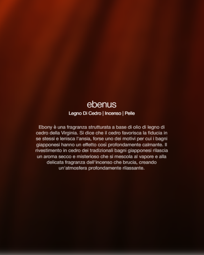 Zenology Spray Ambienti Ebenus 1lt Unisex-2