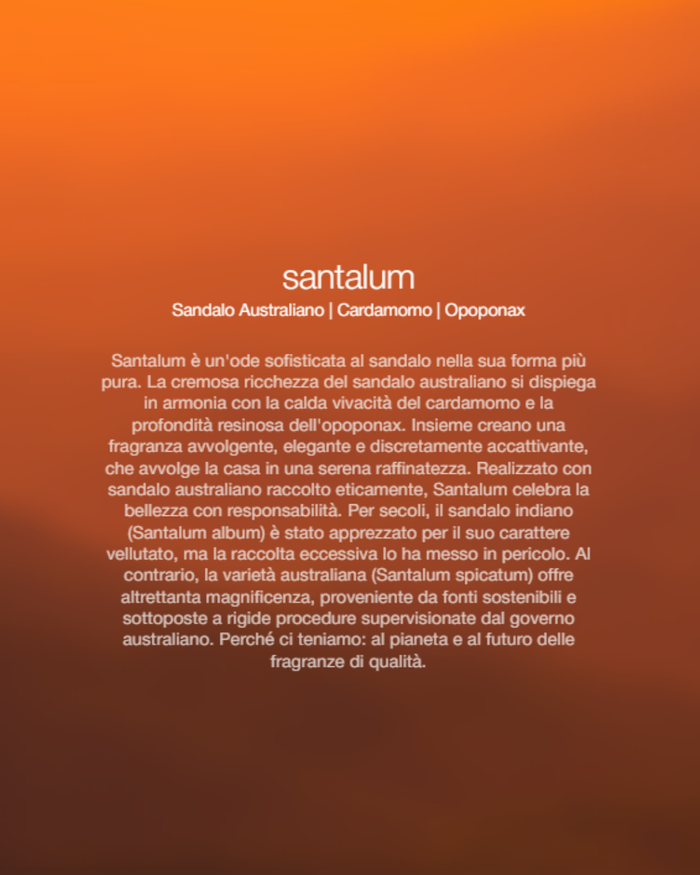 Zenology Spray Ambienti Santalum 300ml Unisex-2