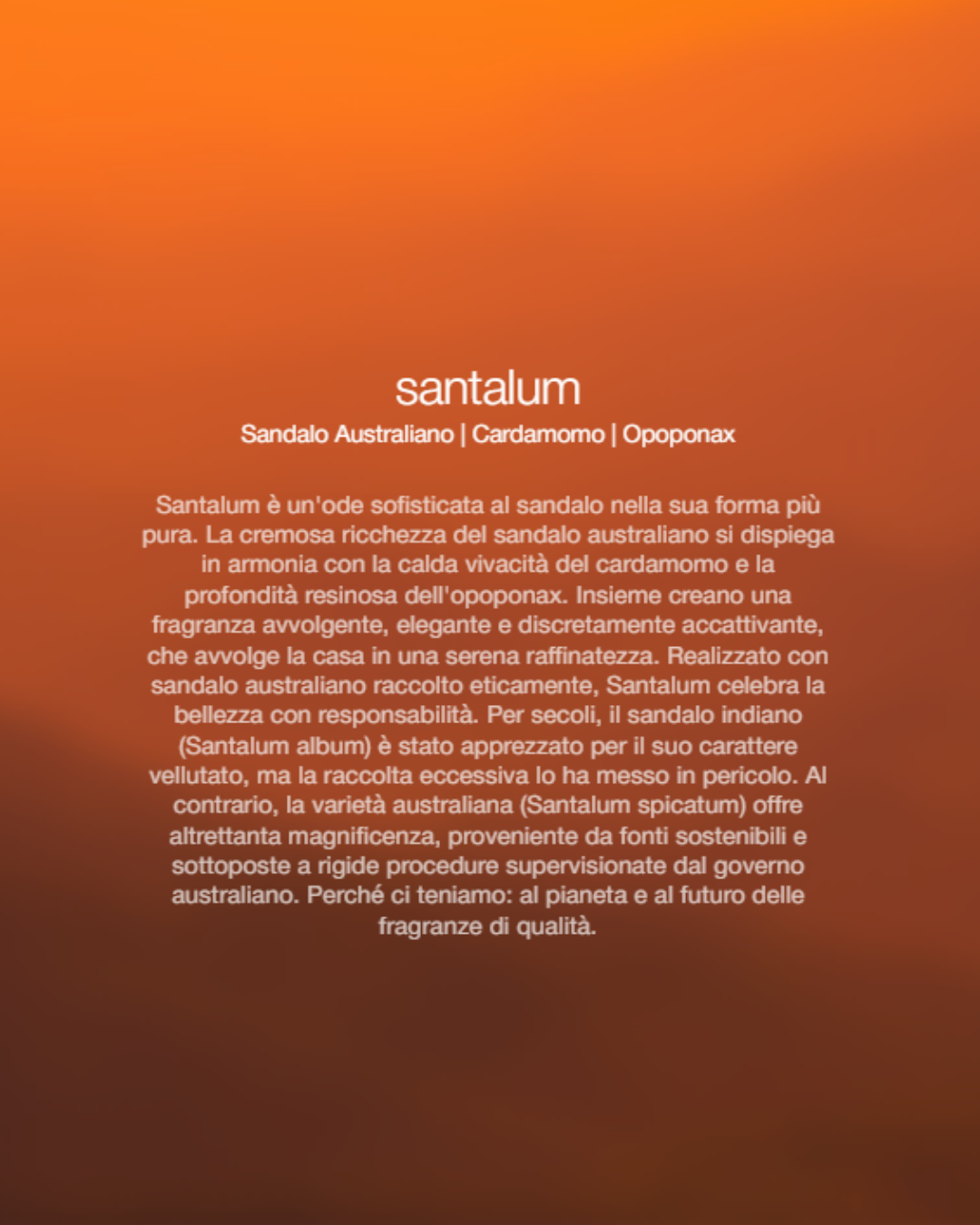  Zenology Spray Ambienti Santalum 1lt Unisex - 2