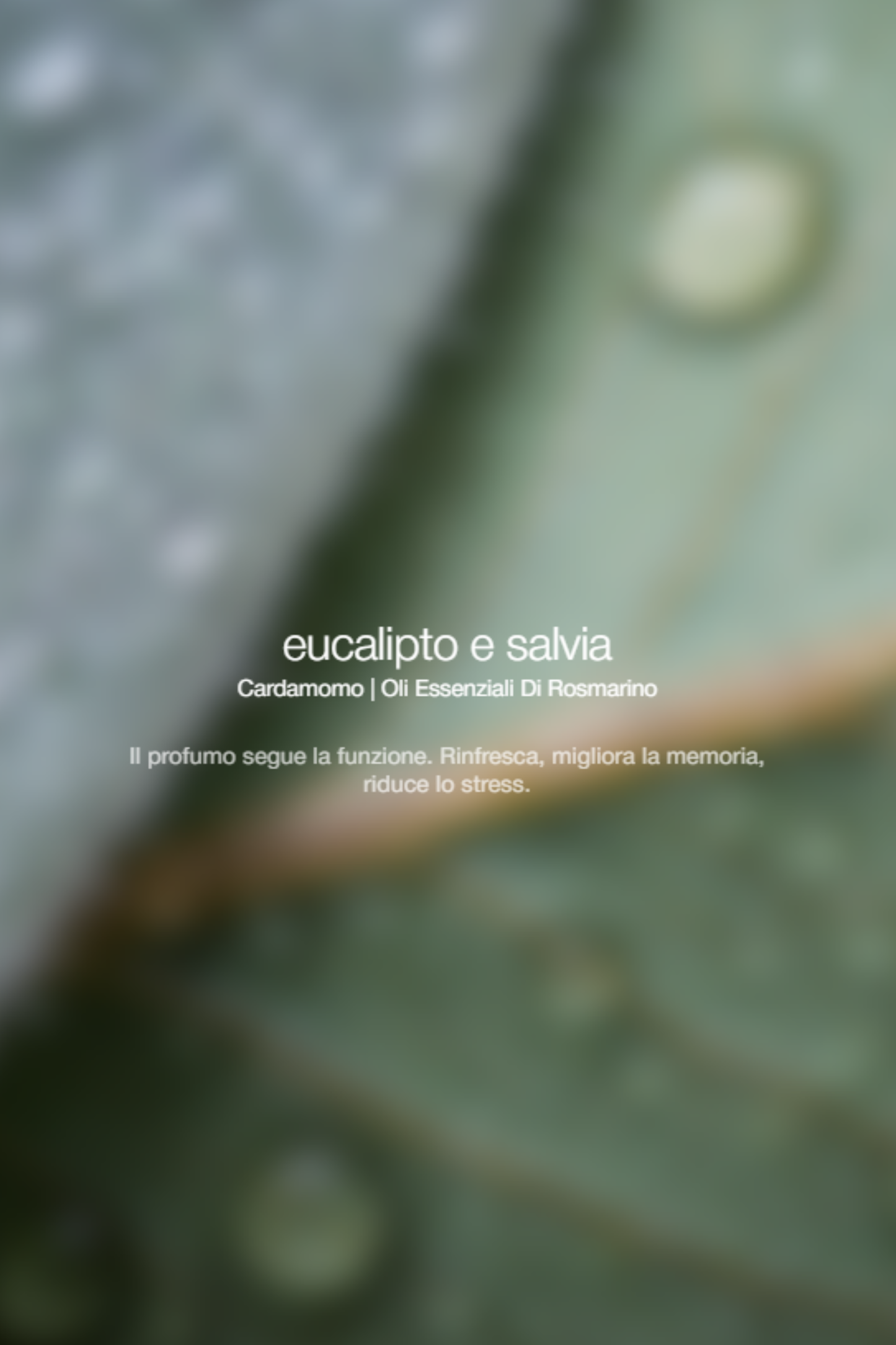  Zenology Exfolianting Wash Eucalyptus Sage Unisex - 2