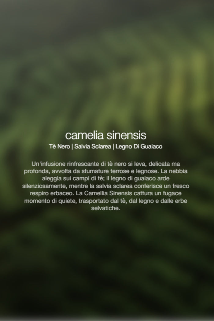 Spray Ambienti Camellia Sinensis 1Lt Unisex Zenology-2