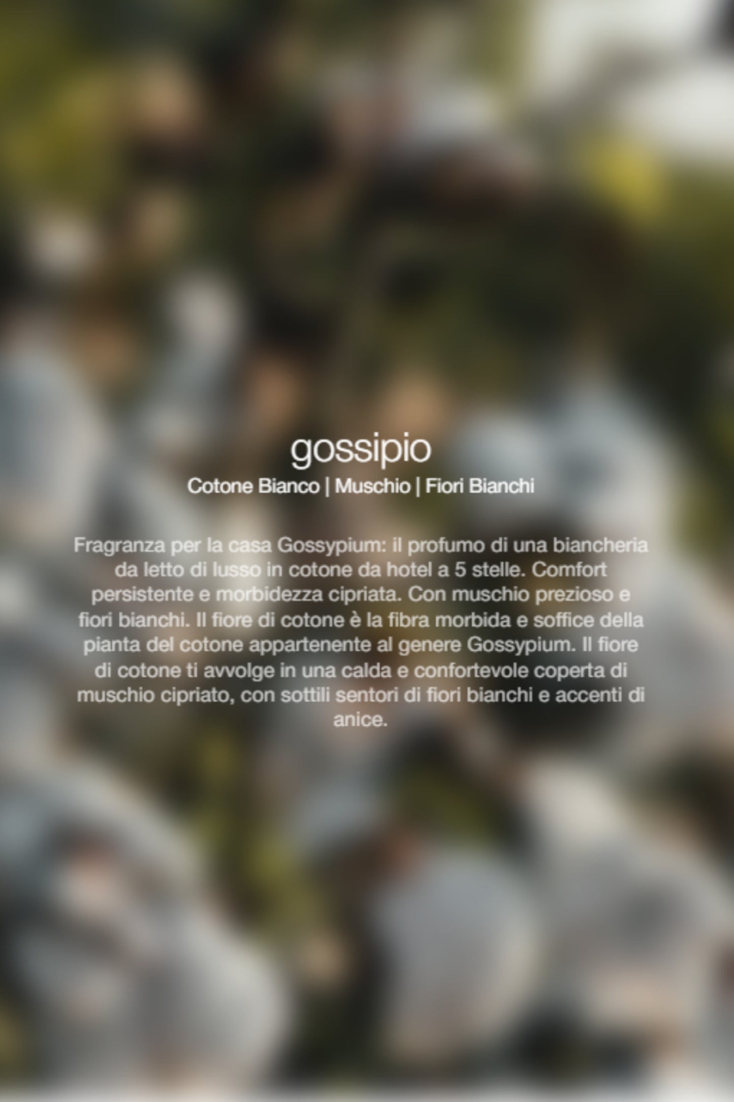  Zenology Spray Ambienti Gossypium 1lt Unisex - 2