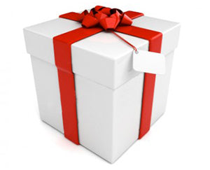  Nulls.net Gift - Pacco Regalo - 1